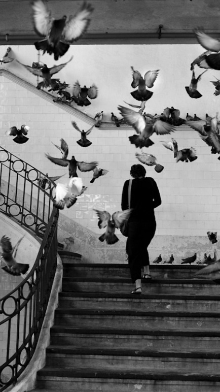 Partindo de uma fotografia do Henri Cartier-Bresson.

#ias #videoia #veo3 #cartierbresson #juniorserpa